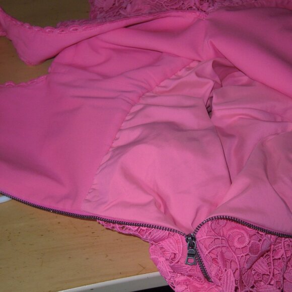 Alice + Olivia designer Pink Fit & Flare Lace Dress SIZE 0 New w/o Tags - Picture 9 of 11